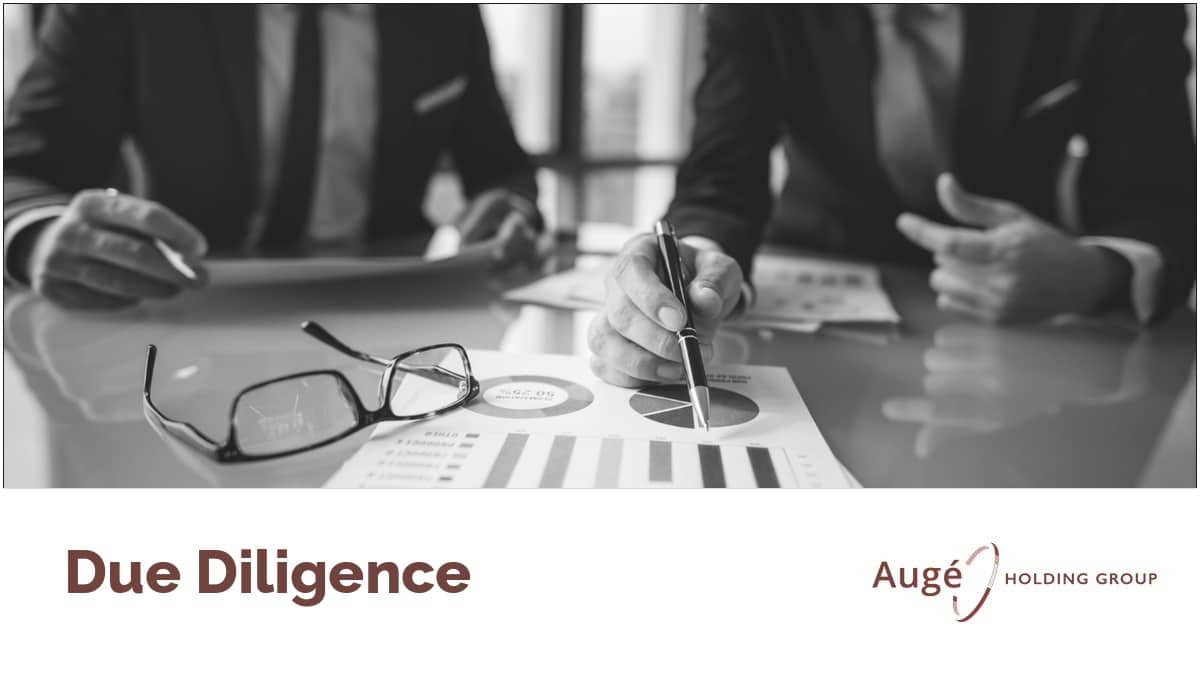 Due Diligence