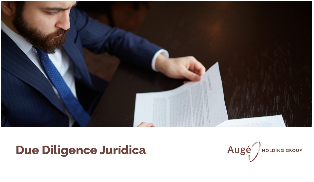 Due Diligence Legal